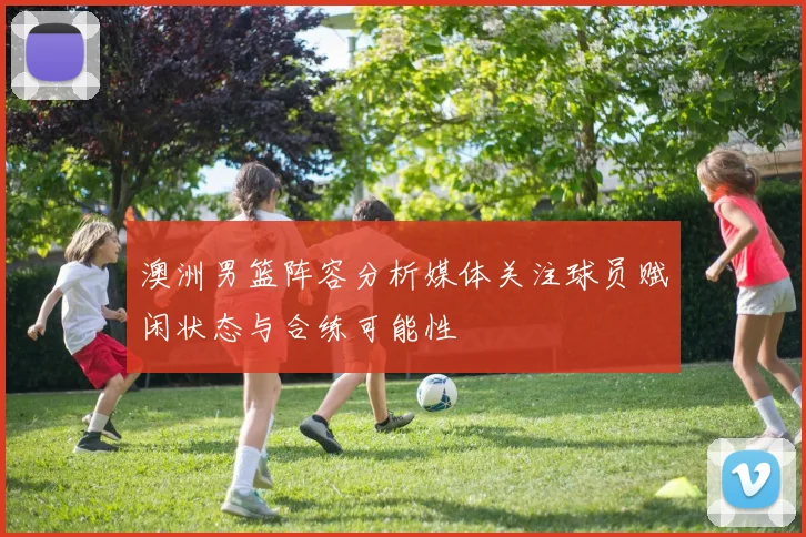 澳洲男篮阵容分析媒体关注球员赋闲状态与合练可能性